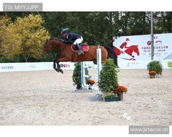 赛季战报全景呈现及时掌握季赛最新战果与精彩瞬间